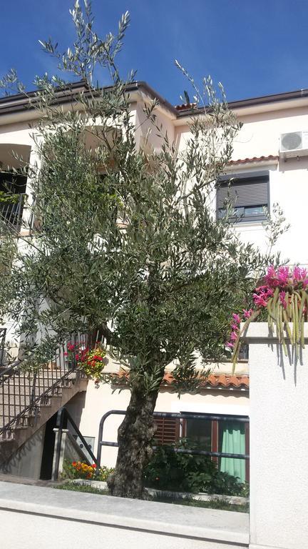 Apartment Ljubica Vrsar Extérieur photo