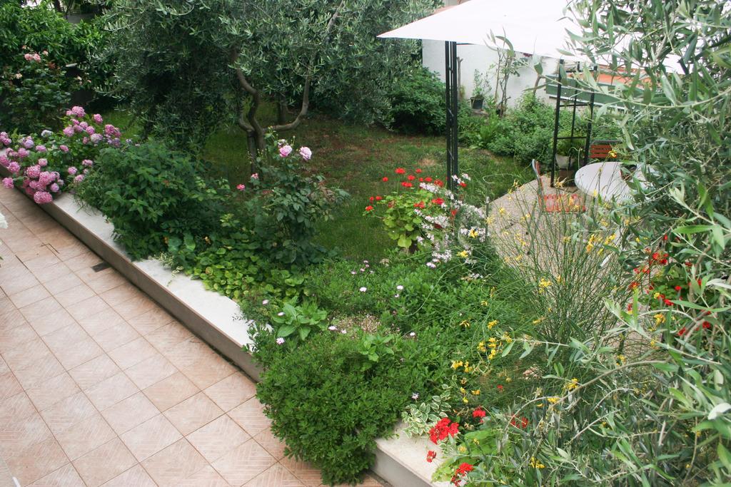 Apartment Ljubica Vrsar Extérieur photo