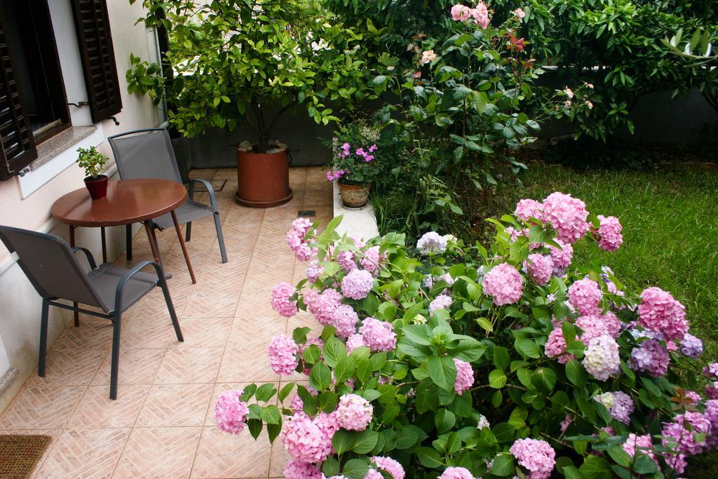 Apartment Ljubica Vrsar Extérieur photo